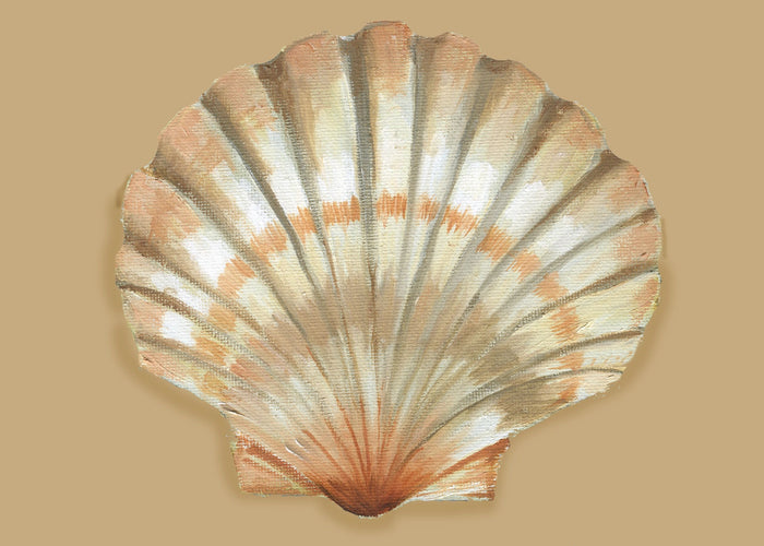 I136 Shell